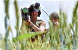 Pentagon Announces Upcoming Shipment of US Defensive Weapons to Ukraine - Reports