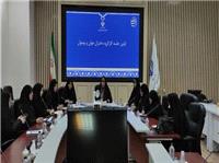 اولين کارگروه دختران نوجوان و جوان در خراسان جنوبي تشکيل شد