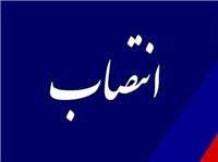 سرپرست فرمانداري شهرستان فيروزآباد منصوب شد