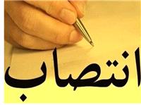 5 انتصاب جديد در استانداري بوشهر