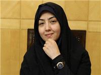 واگذاري شرکت خودروسازي سايپا در کميته صنعت و راهبردهاي توسعه صنعتي مجلس بررسي مي شد
