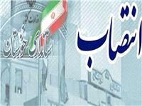 نخستين فرماندار زن خوزستاني در دولت چهاردهم منصوب شد