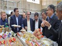 استفاده از ميوه بلوط براي کاستن وابستگي به واردات گندم