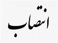 فرماندار شهرستان درميان منصوب شد