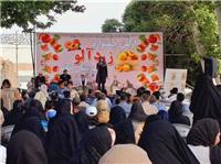 نخستين جشنواره زردآلو در احمدآباد خاتم برگزار شد