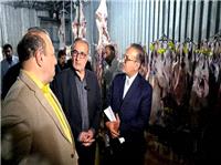 خودکفايي در تامين گوشت قرمز با بهره‌برداري کامل از کشتارگاه