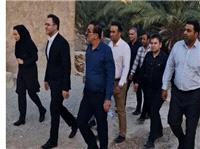ايجاد اشتغال پايدار در روستاهاي تنگستان، موجب مهاجرت معکوس مي‌شود