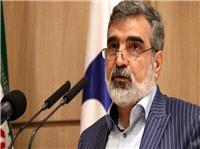 کمالوندی: صدور قطعنامه شورای حکام با واکنش‌های ایران مواجه خواهد شد