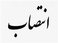 معاون مشارکت‌هاي اجتماعي دفتر امور اجتماعي استانداري خراسان جنوبي منصوب شد