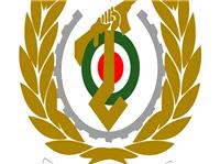بیانیه وزارت دفاع درپی اقدام تجاوزگرانه رژیم صهیونیستی