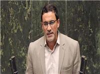 پاسخ به جنایت ترامپ با تمرکز بر افزایش حملات به اسرائیل به عنوان بزرگ‌ترین دارایی آمریکا/ مردم ستون اصلی مقابله با صهیونیسم هستند