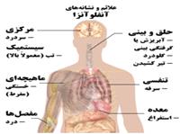 هشدار سرپرست دانشگاه علوم پزشکي  درباره شيوع بيماري هاي حاد تنفسي در نيشابور