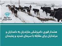 هشدار فوري دامپزشکي مازندران به دامداران و مرغداران براي مقابله با سرماي شديد و يخبندان