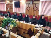 نشست صميمي مديرکل بنياد شهيد و امورايثارگران مازندران با فرزندان شاهد شاغل در برق منطقه اي استان برگزارشد