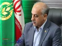 پرداخت 25 درصد از پول کلزاکاران گلستان