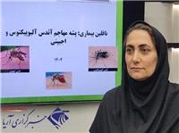 رعايت بهداشت محيط تنها راه پيشگيري از گزش پشه آئدس