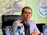 پيش بيني برداشت بيش از 2500 تن بذر گندم از مزارع تکثيري