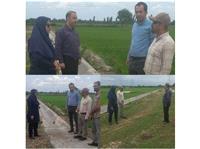 نظارت بر اجراي پروژه لاينينگ کانال بتني در روستاي چمازکلا بابل/ اعتبار 220 ميليارد رسال