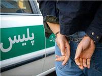 دستگیری شرور خیابانی پس از سرقت به عنف در نیشابور