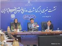 فرش های ایرانی در گمرکات اروپا در معرض مصادره اند/ بازگشت ارز از صادرات فرش نباید الزامی باشد
