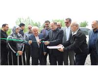 گلخانه‌ها؛ محور توسعه کشاورزي آينده