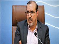 تیم اقتصادی دولت خروجی مطلوبی پیرامون واردات خودرو نداشته است