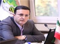 بيش از 90 درصد آتش سوزي هاي جنگل ها و مراتع مربوط به حوزه زاگرس است