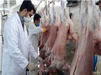 آمادگي چهار اکيپ دامپزشکي جهت نظارت برنذورات تاسوعا و عاشورا