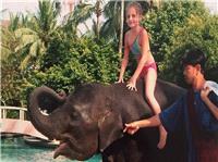 Boxing Day Tsunami: An elephant took me to safety