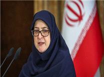 واکنش سخنگوی دولت به اظهارات همتی؛ نباید اظهارات فردی را به دولت نسبت داد