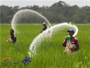 چگونه در شرايط کاهش بارش و افزايش دما توليدات کشاورزي را افزايش دهيم؟