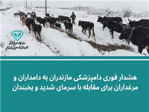 هشدار فوري دامپزشکي مازندران به دامداران و مرغداران براي مقابله با سرماي شديد و يخبندان