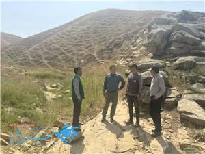 افزايش جمعيت ملخ مراکشي در مراوه تپه نگران‌کننده است
