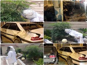 برخورد شديد سواري پرايد با پژو و تير برق و لانه گذاري زنبورها در حياط يک واحد مسکوني موجب اعزام آتش نشانان به محل حوادث شد