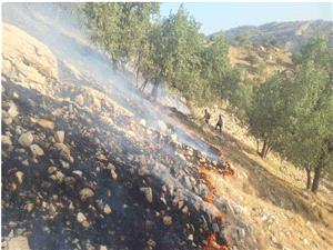 آتش سوزي ارتفاعات خوزستان به بهمئي کشيده و مهار شد