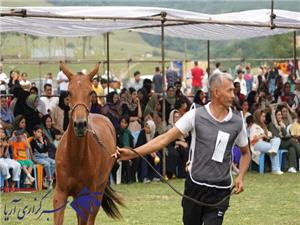 نخستين جشنواره زيبايي اسب اصيل ترکمن در آق‌قميشٍ گاليکش