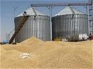 خريد بيش از 180 هزار تن گندم در ايلام