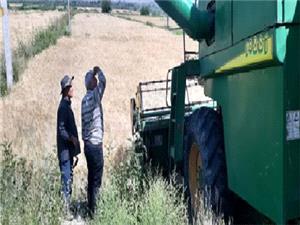 آغاز برداشت جو از 3425 هکتار اراضي کشاورزي در خداآفرين