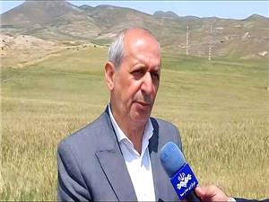 جبران خسارت ناشي از سرمازدگي و تگرک در بخش کشاورزي اهر پيگيري مي شود