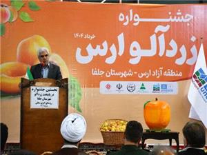 ظرفيت برداشت 50 هزار تن زردآلو در جلفا/ توسعه صنايع تبديلي در اولويت است