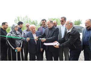 گلخانه‌ها؛ محور توسعه کشاورزي آينده