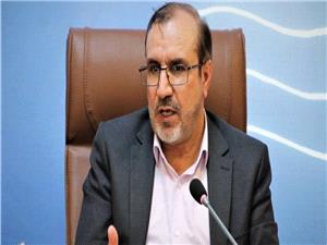 تیم اقتصادی دولت خروجی مطلوبی پیرامون واردات خودرو نداشته است