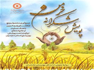 پويش شکرانه خرمن در مازندران؛ فرصتي براي همدلي و حمايت از مددجويان بهزيستي مازندران