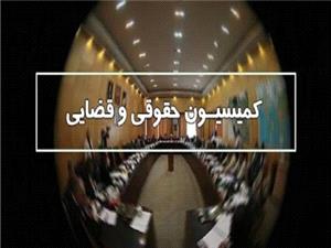 جلسه مشترک کميسيون قضايي مجلس و معاون امور زنان و خانواده رئيس جمهور برگزار شد