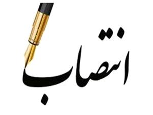 عباس ميرزاد معاون هماهنگي امور اقتصادي استاندار ايلام شد