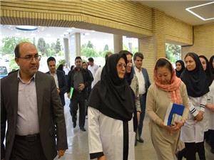 احقاق حقوق اتباع واستان ميزبان با همکاري نهادهاي بين‌المللي درتوسعه زيرساخت