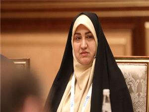 اعضاي هيأت‌هاي تحقيق و تفحص از سازمان شيلات و دستگاه‌هاي اجرايي مقابله با پديده گرد و غبار انتخاب شدند/کليات طرح حفظ کاربري اراضي کشاورزي تصويب شد
