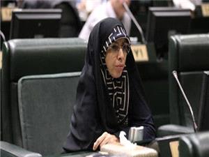 قوانین حمایتی از جمعیت به دلیل ناکارآمدی دولت‌ها بر زمین مانده است