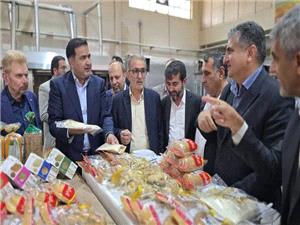 استفاده از ميوه بلوط براي کاستن وابستگي به واردات گندم
