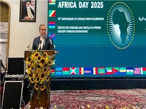 عراقچي: ايران بر گسترش همکاري اقتصادي با آفريقا در قالب منطقه آزاد تجاري تاکيد دارد